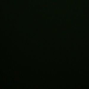 Meet your Posher, Thuy